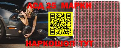 прущие крисы Моздок